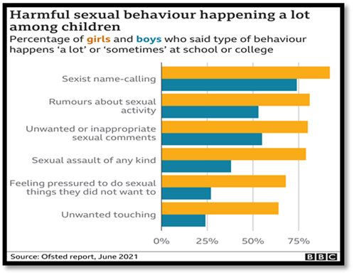 Chart showing harmful behaviour happening a lot among children